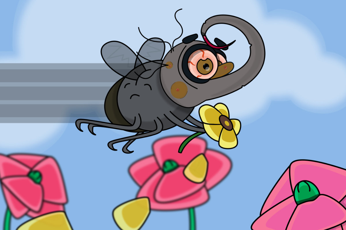 Fly illustration