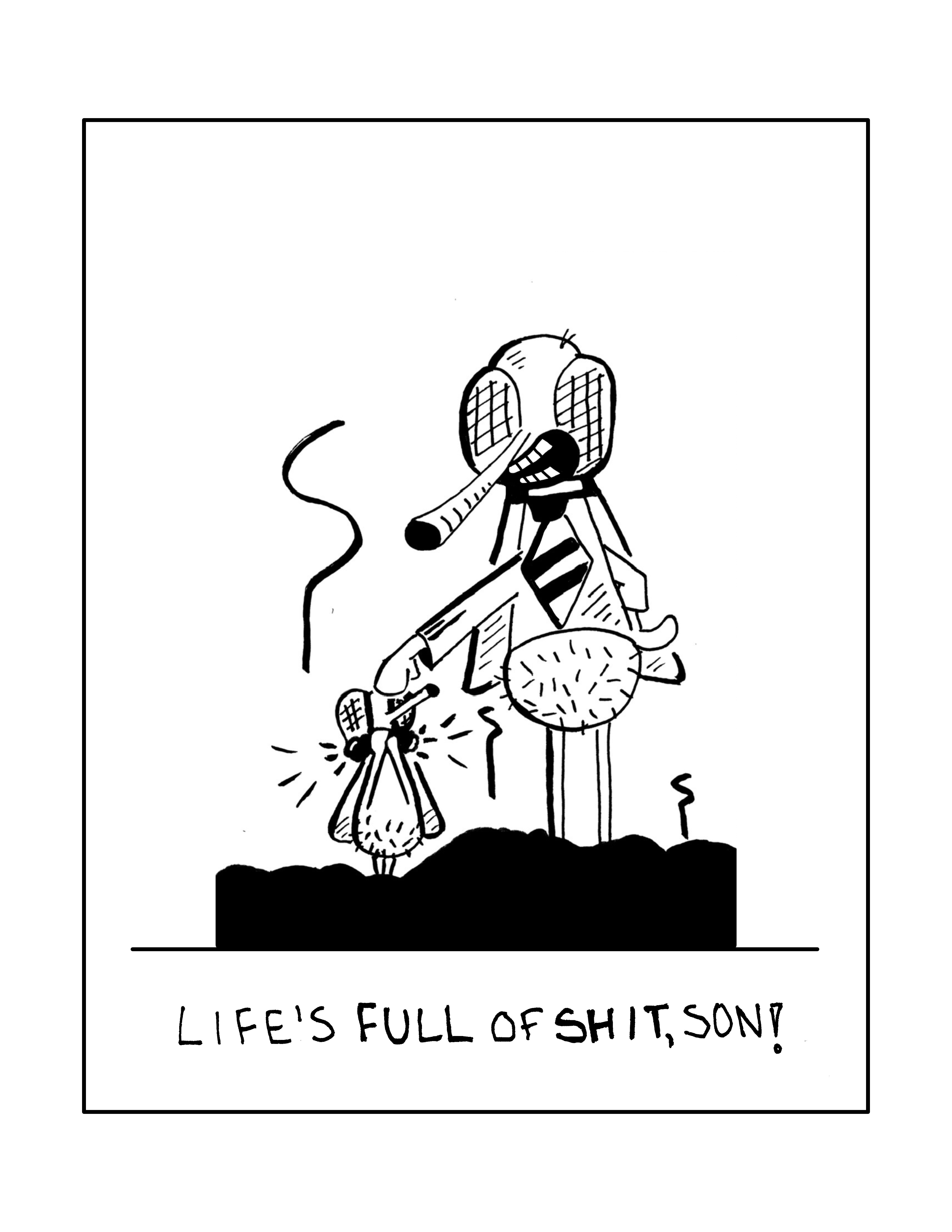Flies on shit.